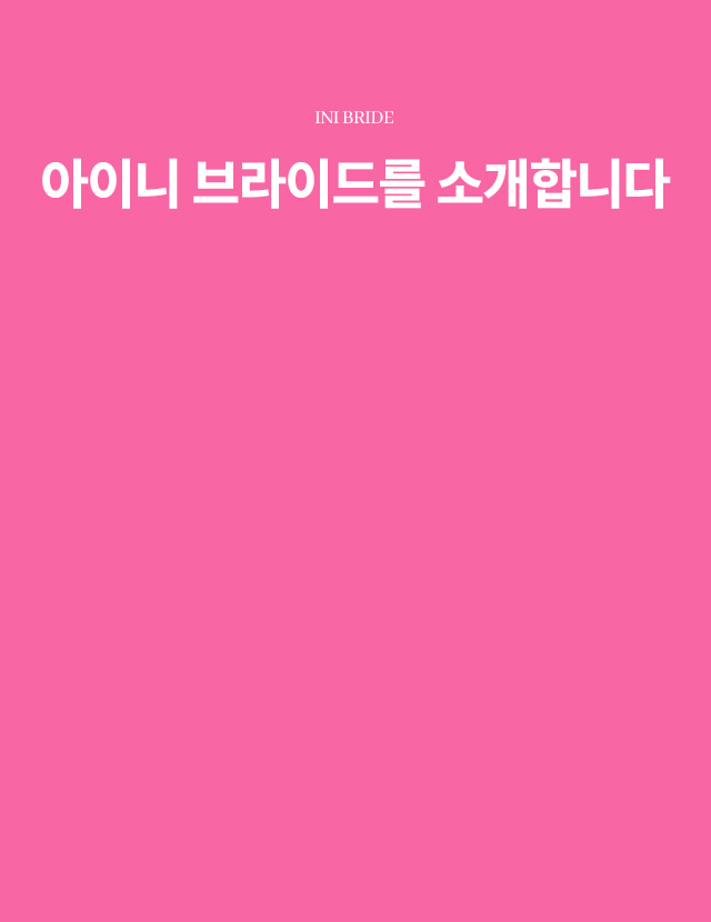 아이니 브라이드 소개